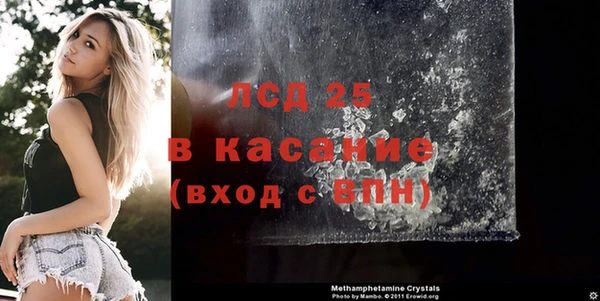 стаф Волосово