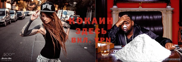стаф Волосово